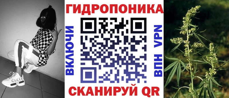 Где можно купить наркотики Новокузнецк Cocaine  Меф  A PVP  КЕТАМИН  Конопля 