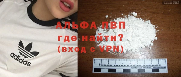 хмурый Магас