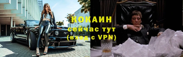хмурый Магас