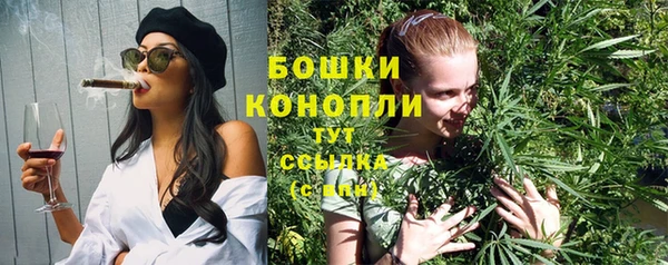 хмурый Магас