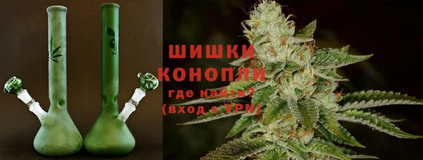 ГАЛЛЮЦИНОГЕННЫЕ ГРИБЫ Магадан