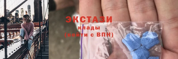 хмурый Магас