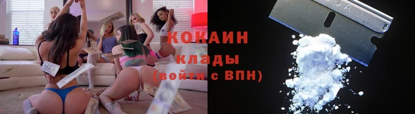 хмурый Магас