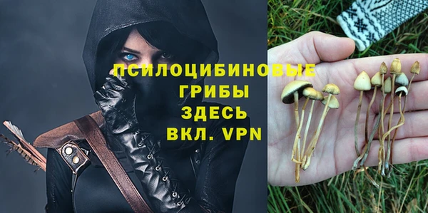 каннабис Майский