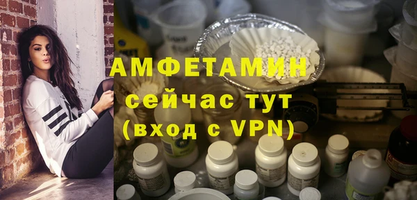 хмурый Магас