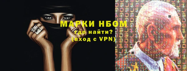 хмурый Магас