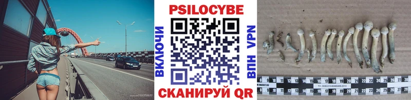 Псилоцибиновые грибы GOLDEN TEACHER  Новокузнецк 