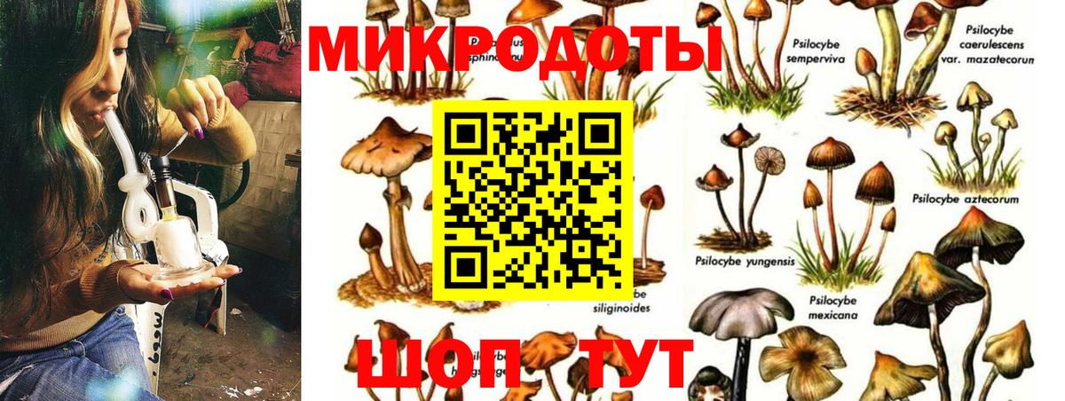Галлюциногенные грибы ЛСД  Псилоцибиновые грибы Cubensis  Новокузнецк  Вход с VPN 