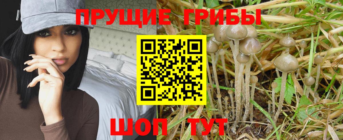 Галлюциногенные грибы мицелий Новокузнецк