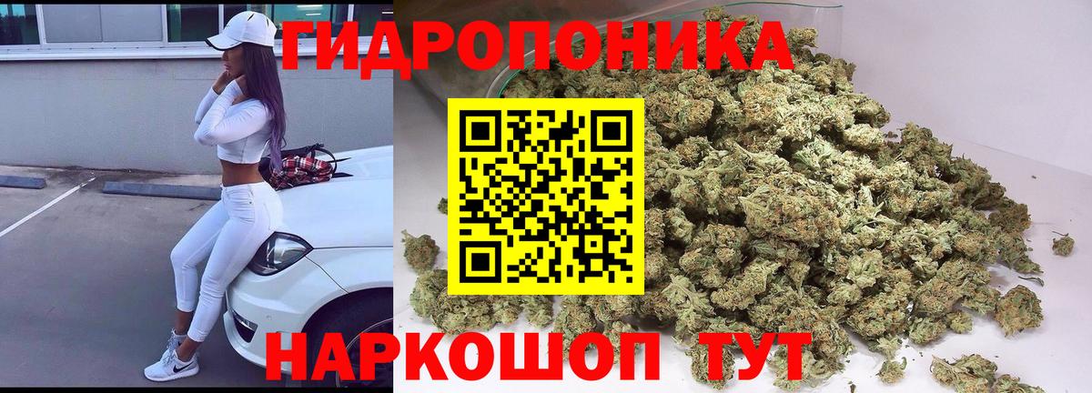 Бошки Шишки тримм Новокузнецк